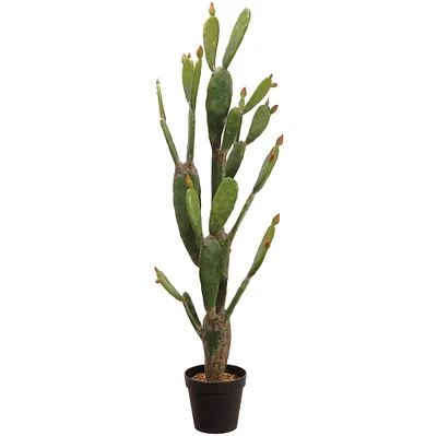 Faux Potted Bunny Ear Cactus W/ Planter, 5', Green