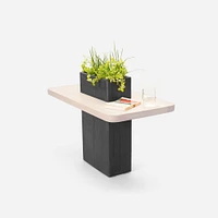 Formr VegeTABLE | West Elm