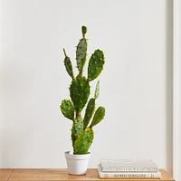 Faux Potted Flat Cactus Plant, 19"