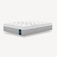 Leesa Sapira Chill Firm Hybrid Mattress | West Elm