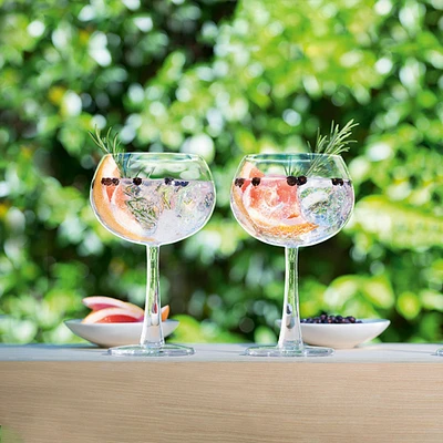 Gin Balloon Glasses (Set of 2) | West Elm