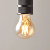 LED Light Bulb - Edison | West Elm