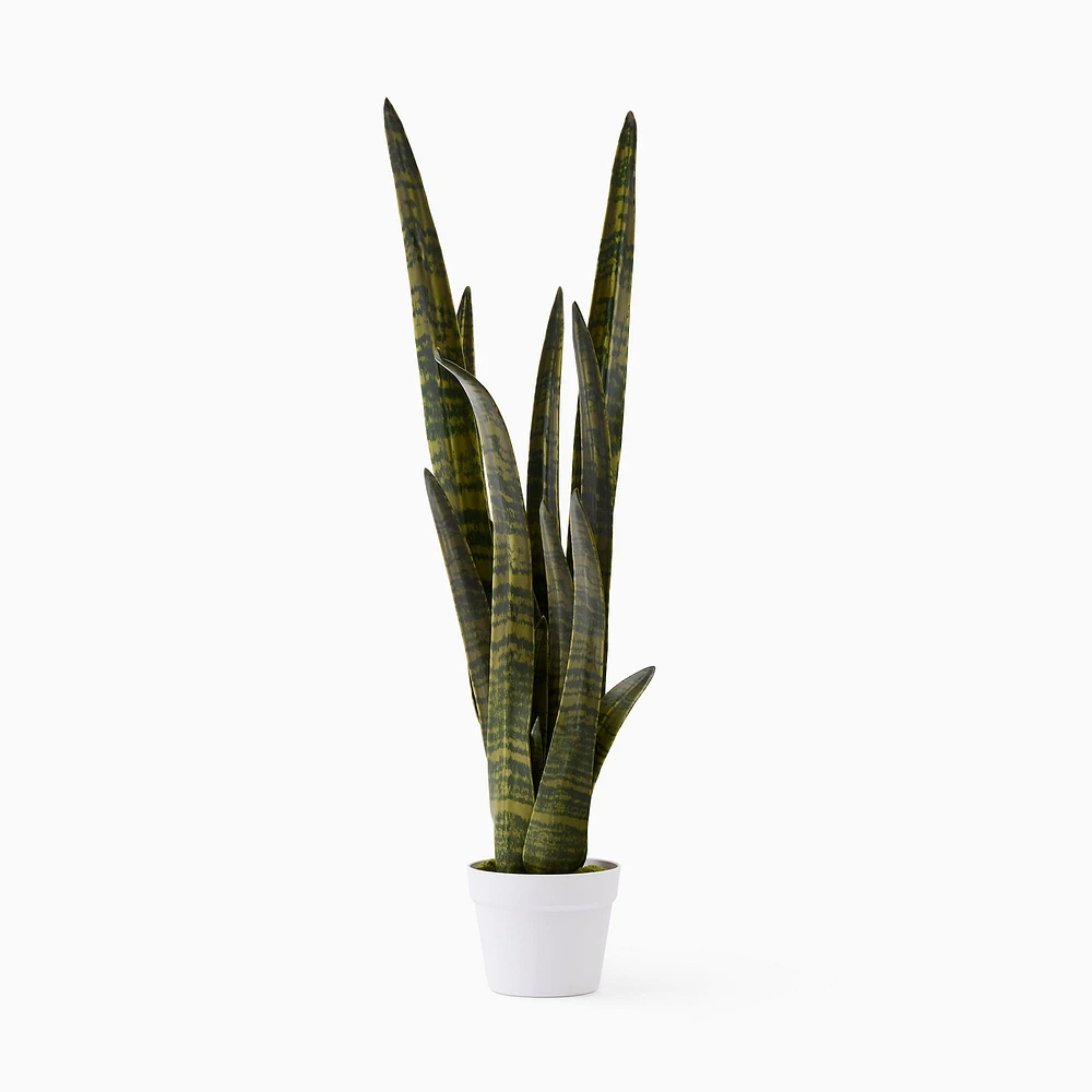 Faux Potted Snake Plant | West Elm