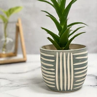 SampleHAUS Zulu Cachepot Planters | West Elm