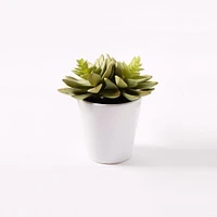 Faux Potted Echeveria Succulent Plant | West Elm