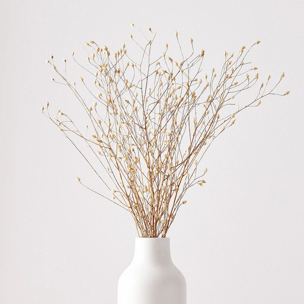 Dried Flax Bunch | West Elm