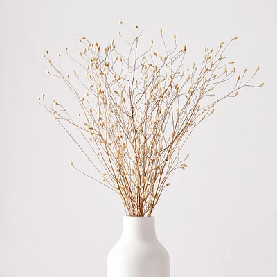 Dried Flax Bunch | West Elm