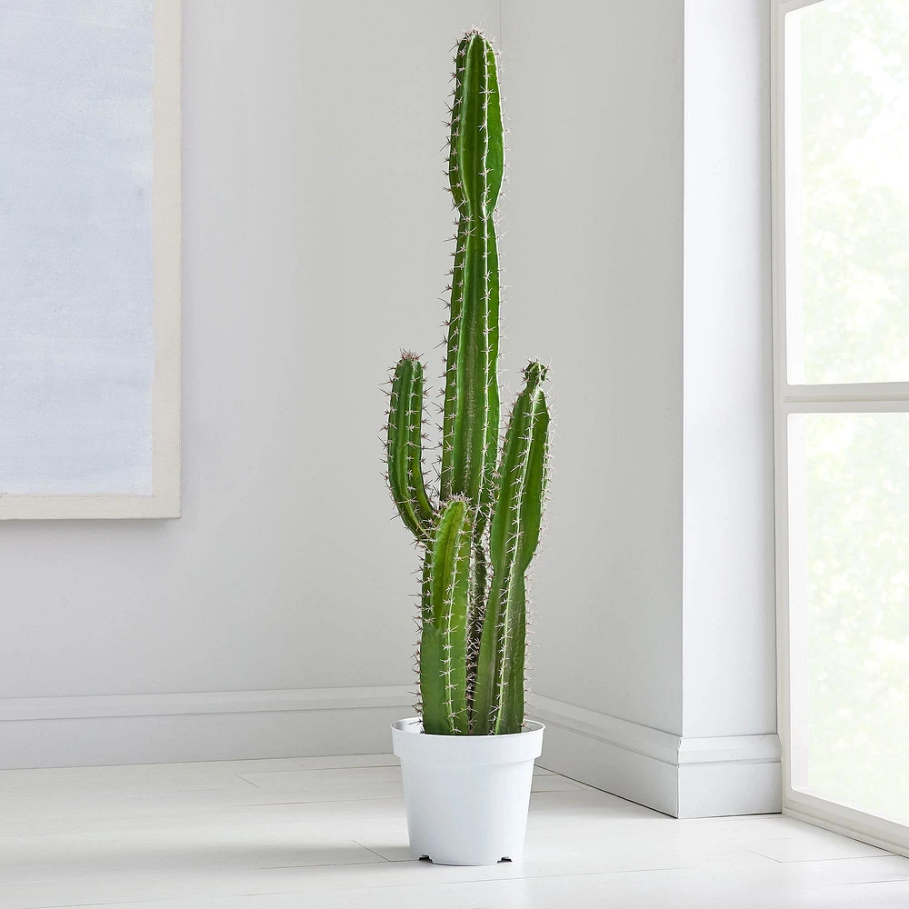 Faux Potted Cactus Plant | West Elm