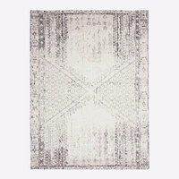 Distressed Ensi Wool Rug, 3x5, White