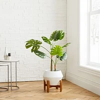 Monstera Botanical + Ilya Planter Small White Bundle