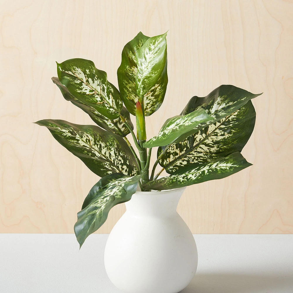 Faux Dieffenbachia Bush Plant | West Elm