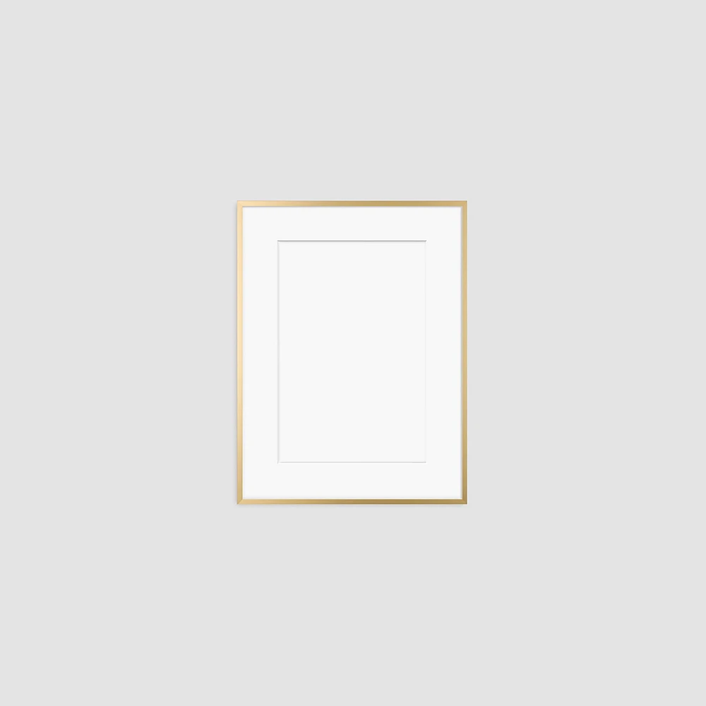 Metal Gallery Frame, Matte Gold, 16"x20"