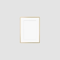 Metal Gallery Frame, Matte Gold, 16"x20"