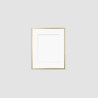 Metal Gallery Frame, Matte Gold, 16"x20"