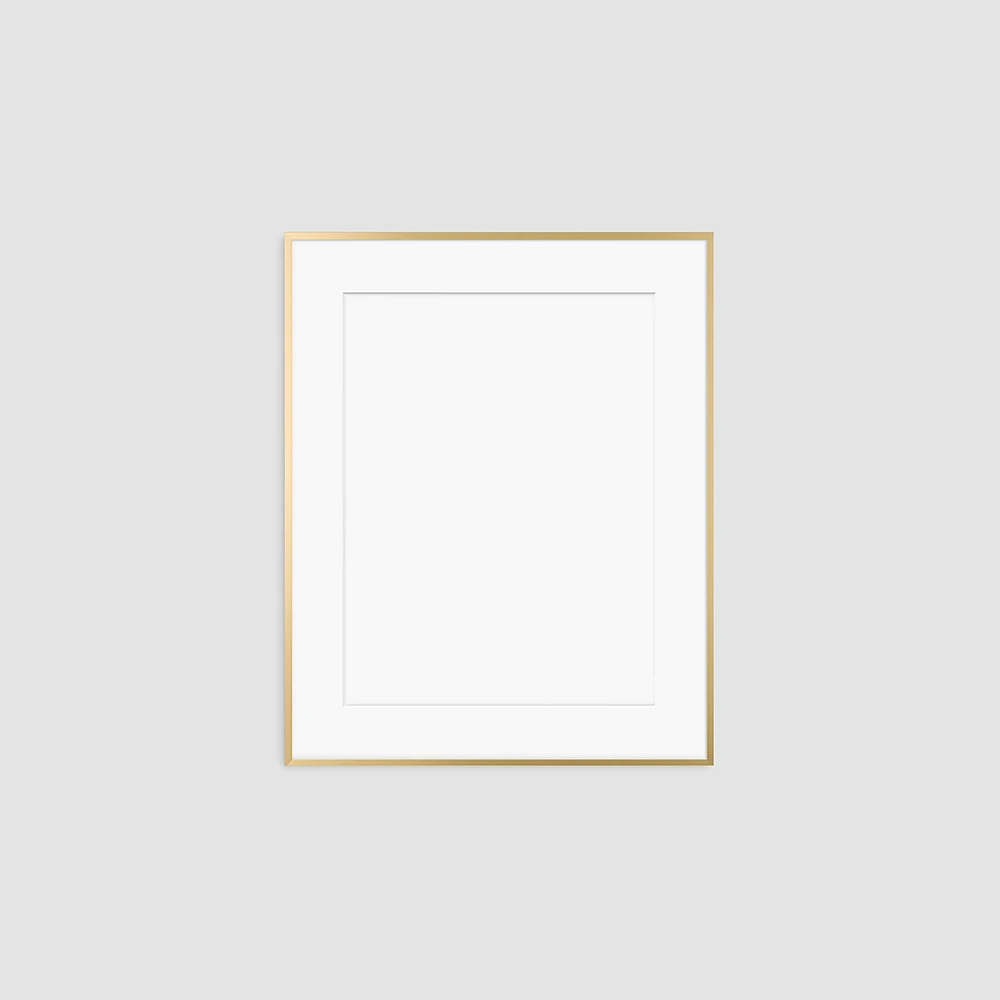 Metal Gallery Frame, Matte Gold, 16"x20"