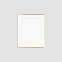 Metal Gallery Frame, Matte Gold, 16"x20"