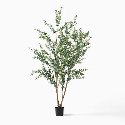 Faux Potted Eucalyptus Tree | West Elm