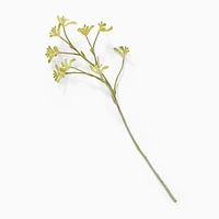 Faux Kangaroo Paw Stem | West Elm