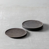 Nivo Metallic Salad Plates (Set of 6) | West Elm