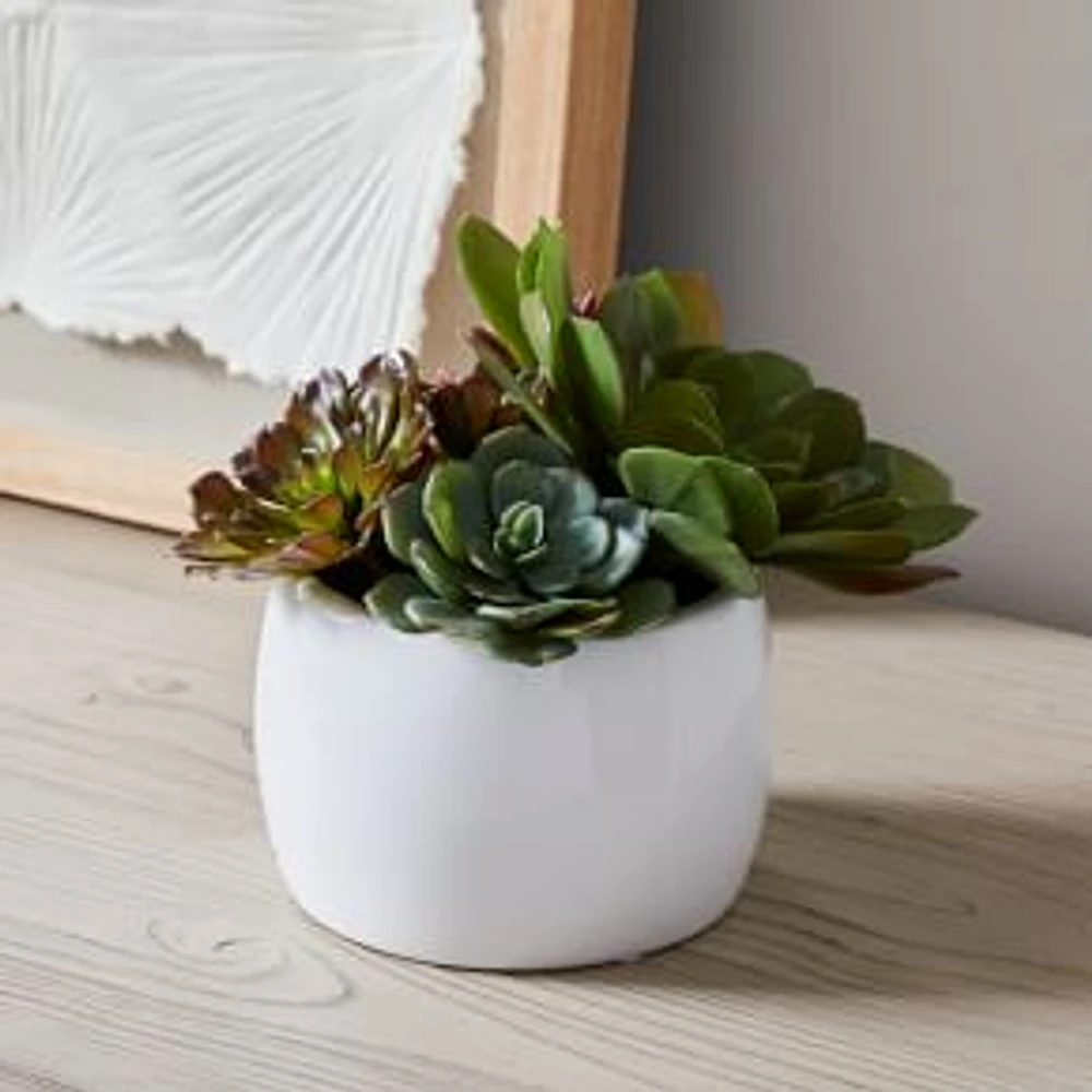 Faux Potted Round Succulent Arrangement