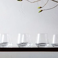 Zwiesel Glas Pure DOF Set of 6