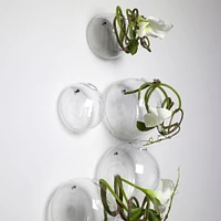 Glass Balloon Wall Vase | West Elm