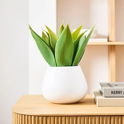 Faux Potted Agave, 12"