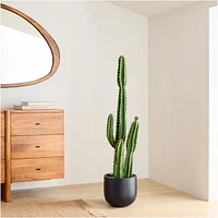 Faux Botanicals, Potted Cactus