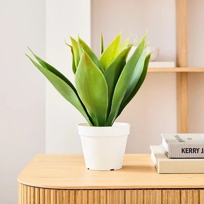 Faux Potted Agave Plant | West Elm