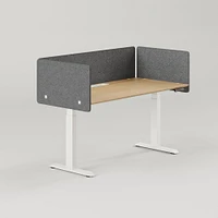 Branch Desk Panels | West Elm