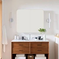 Frameless Seamless Double Wide Medicine Cabinet