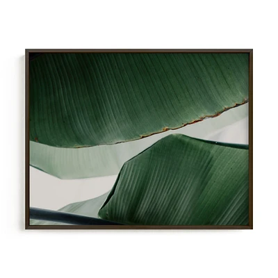 Leaf & Light 4 by Alicia Abla, White Wood Frame, Full Bleed, 14"x11"