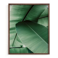 Tropical Leaves by Alicia Abla, White Wood Frame, Full Bleed, 16x20