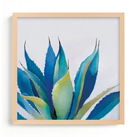 Blue Agave by Amanda Phelps, White Wood Frame, Full Bleed, 11x11