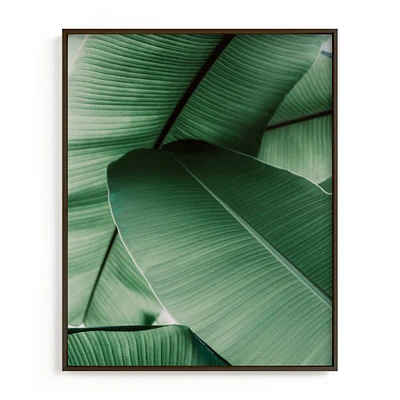 Tropical Leaves by Alicia Abla, White Wood Frame, Full Bleed, 16x20