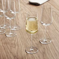 Tritan Vervino Champagne Glass, Set of 6