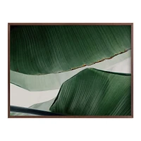 Leaf & Light 4 by Alicia Abla, White Wood Frame, Full Bleed, 14"x11"