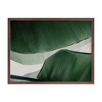 Leaf & Light 4 by Alicia Abla, White Wood Frame, Full Bleed, 14"x11"