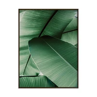 Tropical Leaves by Alicia Abla, White Wood Frame, Full Bleed, 16x20