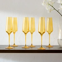 Champagne Flute Set of 6, Mixed