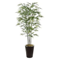 Faux Potted Bamboo Tree, 8', Green