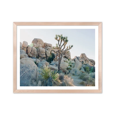 Joshua Tree by Morgan Ashley 11x14 White Maple