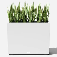 Block Series Span Planter, 30"W x 12"D 24"H, Black