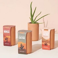 Terracotta Grow Kit Assortment