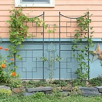 Square Trellis, Wrought Iron, 31.5"W x 1.5"D x 86"H, Graphite