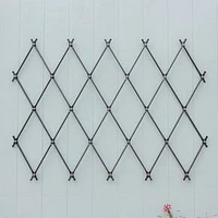 Wall Mounted Lattice Trellis, Wrought Iron, 67"W x 0.5"D x 43"H, Graphite