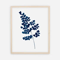 Living Pattern Indigo Maindenhair Fern No. 2 Print, 11"x14", White Frame