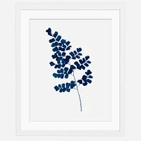 Living Pattern Indigo Maindenhair Fern No. 2 Print, 11"x14", White Frame