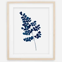 Living Pattern Indigo Maindenhair Fern No. 2 Print, 11"x14", White Frame