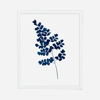 Living Pattern Indigo Maindenhair Fern No. 2 Print, 11"x14", White Frame